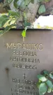 Захоронение ID 1338209