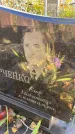 Захоронение ID 1338228