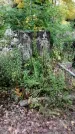 Захоронение ID 1338322