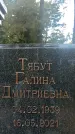 Захоронение ID 1338353