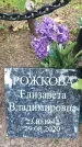 Захоронение ID 1338374