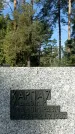 Захоронение ID 1338576