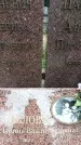 Захоронение ID 1338620