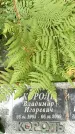 Захоронение ID 1338633