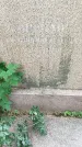 Захоронение ID 1338647