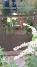 Захоронение ID 1338652