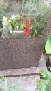 Захоронение ID 1338653