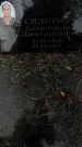 Захоронение ID 1338662