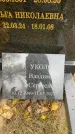 Захоронение ID 1338769