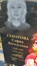 Захоронение ID 1338987