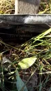 Захоронение ID 1339186