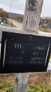 Захоронение ID 1339295
