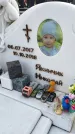 Захоронение ID 1339315