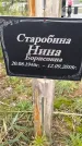 Захоронение ID 1339336
