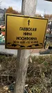 Захоронение ID 1339410