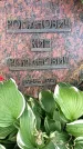 Захоронение ID 1339412