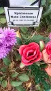 Захоронение ID 1339415