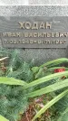 Захоронение ID 1339504