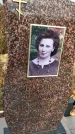 Захоронение ID 1339519