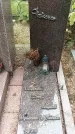 Захоронение ID 1339543