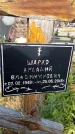 Захоронение ID 1339700