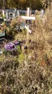 Захоронение ID 1339739