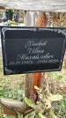 Захоронение ID 1339954