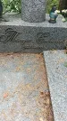 Захоронение ID 1339956