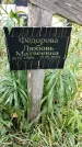 Захоронение ID 1340153