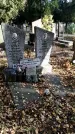 Захоронение ID 1340179