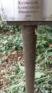 Захоронение ID 1340303