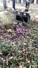 Захоронение ID 1340596