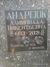 Захоронение ID 1340868