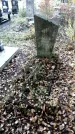 Захоронение ID 1340957