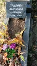 Захоронение ID 1341073