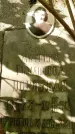 Захоронение ID 1341138
