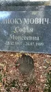 Захоронение ID 1341191