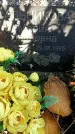 Захоронение ID 1341263