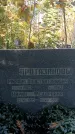 Захоронение ID 1341330