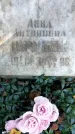 Захоронение ID 1341332