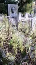 Захоронение ID 1341353