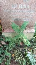 Захоронение ID 1341426