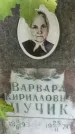 Захоронение ID 1341433