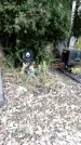 Захоронение ID 1341544