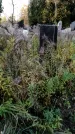 Захоронение ID 1341637