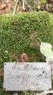 Захоронение ID 1341725