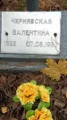 Захоронение ID 1341757