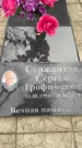 Захоронение ID 1342023