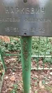 Захоронение ID 1342110