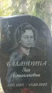 Захоронение ID 1342138